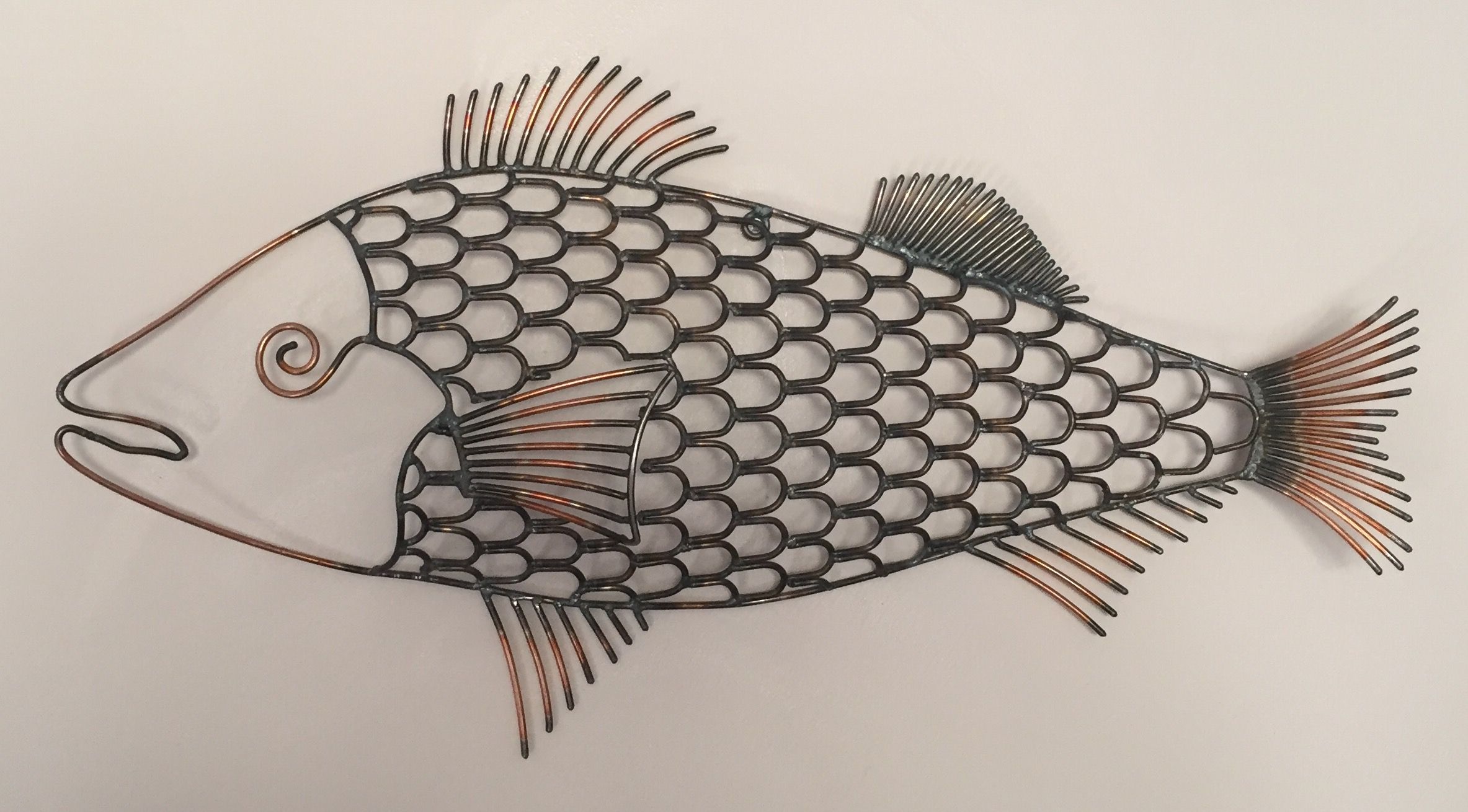 Fish